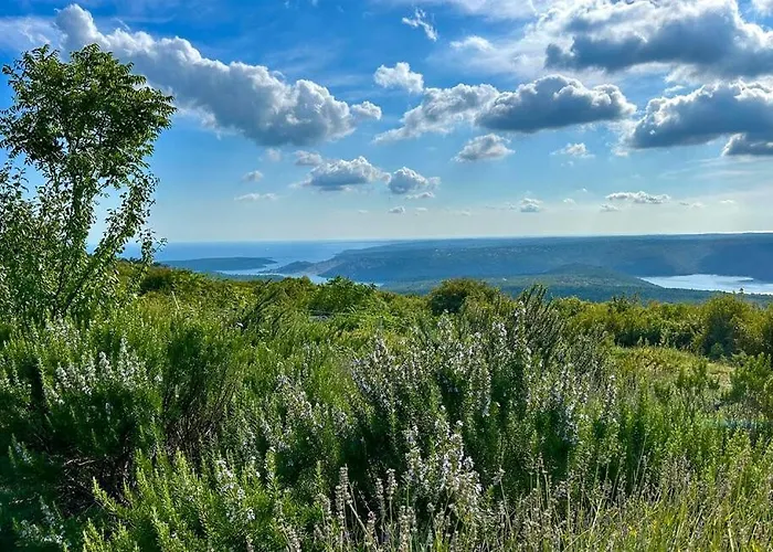 House Marconi With Private Pool Labin (Istria)